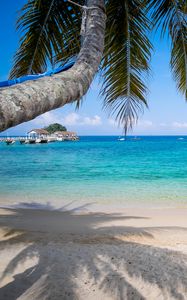 Preview wallpaper palm tree, beach, sea, horizon, tropics