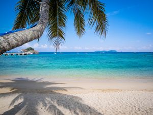 Preview wallpaper palm tree, beach, sea, horizon, tropics