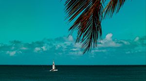 Preview wallpaper palm tree, branches, sea, horizon