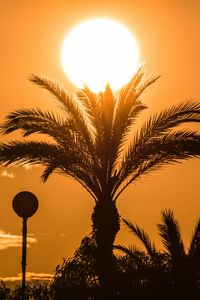 Preview wallpaper palm tree, branches, silhouette, sun, sunset, dark