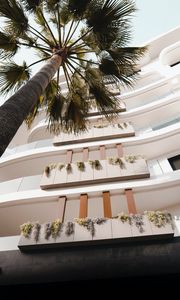 Preview wallpaper palm tree, building, bottom view, light