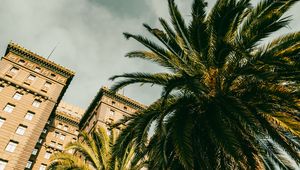 Preview wallpaper palm tree, building, houses, windows