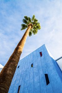 Preview wallpaper palm tree, building, sky