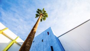 Preview wallpaper palm tree, building, sky