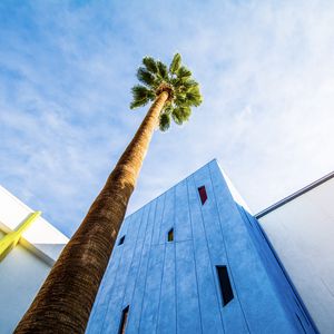 Preview wallpaper palm tree, building, sky