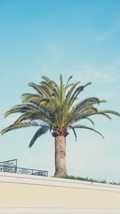 Preview wallpaper palm tree, building, sky, minimalism