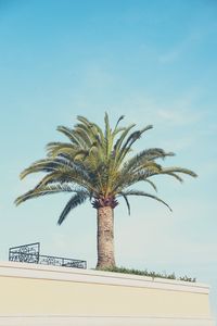 Preview wallpaper palm tree, building, sky, minimalism