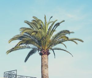 Preview wallpaper palm tree, building, sky, minimalism