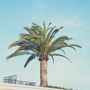 Preview wallpaper palm tree, building, sky, minimalism