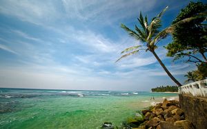 Preview wallpaper palm tree, coast, stones, resort, moss, sea, water, transparent, rest, people