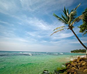 Preview wallpaper palm tree, coast, stones, resort, moss, sea, water, transparent, rest, people
