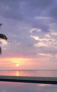 Preview wallpaper palm tree, decline, pool, water smooth surface, evening, twilight, reflection