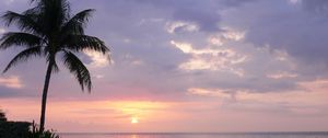 Preview wallpaper palm tree, decline, pool, water smooth surface, evening, twilight, reflection