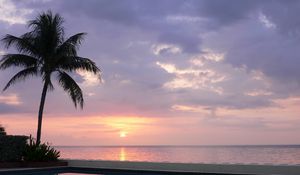 Preview wallpaper palm tree, decline, pool, water smooth surface, evening, twilight, reflection