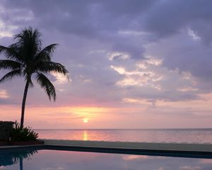Preview wallpaper palm tree, decline, pool, water smooth surface, evening, twilight, reflection