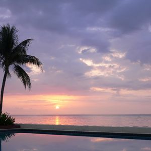 Preview wallpaper palm tree, decline, pool, water smooth surface, evening, twilight, reflection