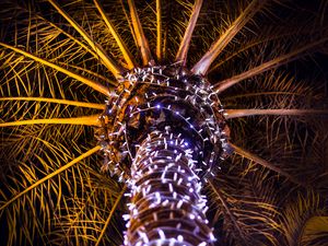 Preview wallpaper palm tree, garland, branches, trunk, dark, bottom view