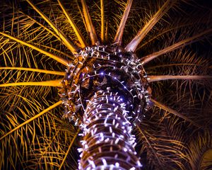 Preview wallpaper palm tree, garland, branches, trunk, dark, bottom view