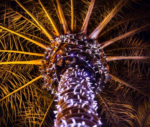 Preview wallpaper palm tree, garland, branches, trunk, dark, bottom view