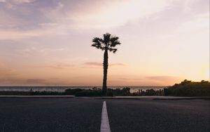 Preview wallpaper palm tree, horizon, sunset, tropics, marking