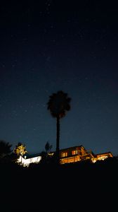 Preview wallpaper palm tree, house, night, starry sky, dark
