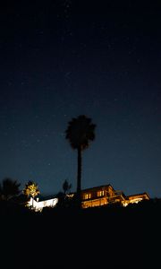 Preview wallpaper palm tree, house, night, starry sky, dark