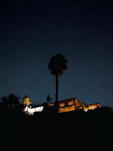 Preview wallpaper palm tree, house, night, starry sky, dark