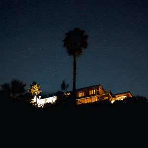 Preview wallpaper palm tree, house, night, starry sky, dark