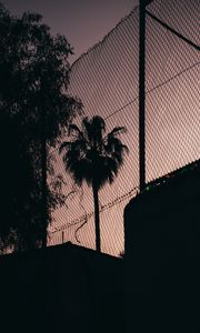 Preview wallpaper palm tree, night, net, fence, darkness