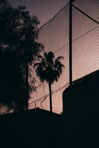 Preview wallpaper palm tree, night, net, fence, darkness