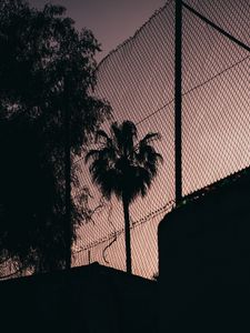 Preview wallpaper palm tree, night, net, fence, darkness