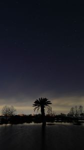 Preview wallpaper palm tree, night, silhouette, sky, dark