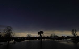 Preview wallpaper palm tree, night, silhouette, sky, dark