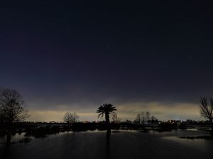 Preview wallpaper palm tree, night, silhouette, sky, dark