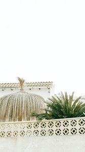 Preview wallpaper palm tree, plants, leaves, fence, architecture, white