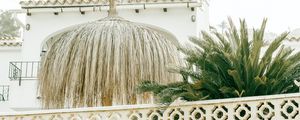 Preview wallpaper palm tree, plants, leaves, fence, architecture, white