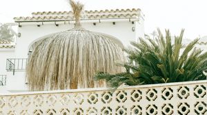 Preview wallpaper palm tree, plants, leaves, fence, architecture, white