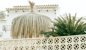 Preview wallpaper palm tree, plants, leaves, fence, architecture, white