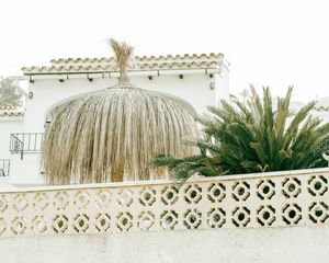 Preview wallpaper palm tree, plants, leaves, fence, architecture, white