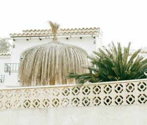 Preview wallpaper palm tree, plants, leaves, fence, architecture, white