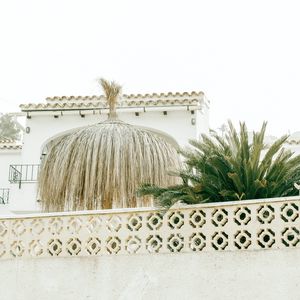 Preview wallpaper palm tree, plants, leaves, fence, architecture, white