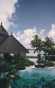 Preview wallpaper palm tree, pool, vacation