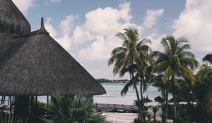 Preview wallpaper palm tree, pool, vacation