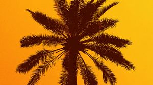 Preview wallpaper palm tree, silhouette, sky, yellow