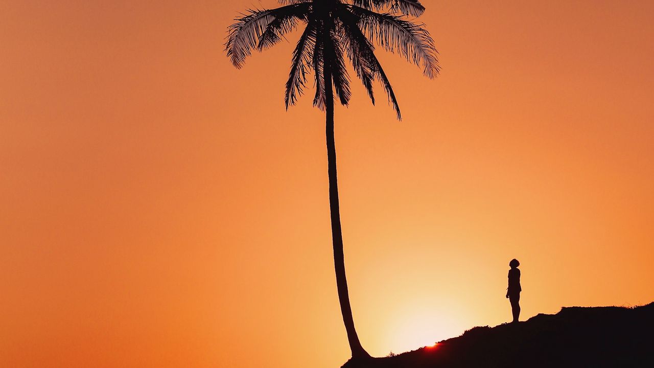 Wallpaper palm tree, silhouette, sunset, hill, dark