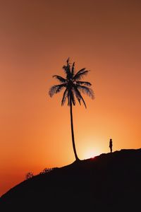 Preview wallpaper palm tree, silhouette, sunset, hill, dark