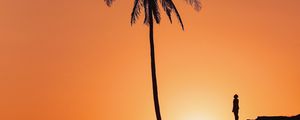 Preview wallpaper palm tree, silhouette, sunset, hill, dark