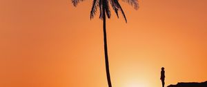 Preview wallpaper palm tree, silhouette, sunset, hill, dark