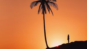 Preview wallpaper palm tree, silhouette, sunset, hill, dark