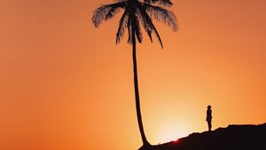 Preview wallpaper palm tree, silhouette, sunset, hill, dark